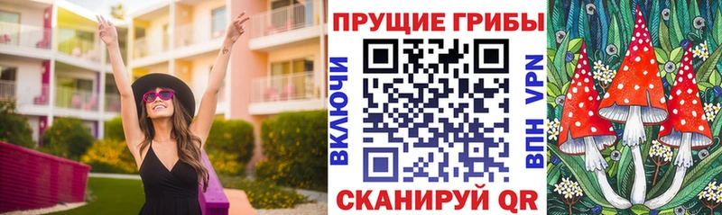 Галлюциногенные грибы GOLDEN TEACHER  где можно купить наркотик  МЕГА зеркало  Сухиничи 